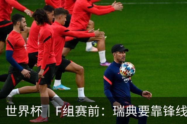 世界杯｜F组赛前：瑞典要靠锋线双星 突尼斯欲出线